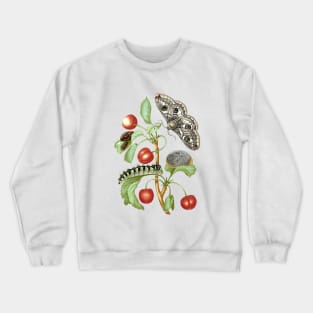 Metamorphosis of the Peacock Eye moth Crewneck Sweatshirt